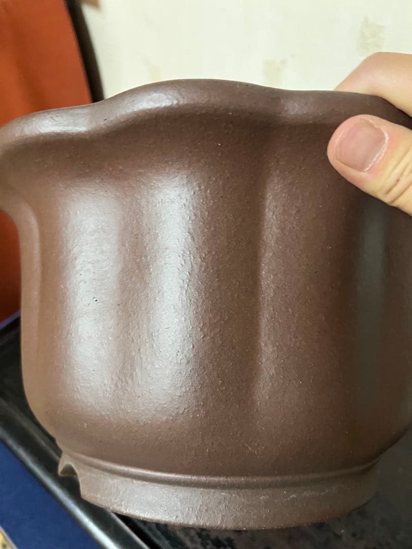 481 盆栽　盆栽鉢　植木鉢　和鉢　山秋