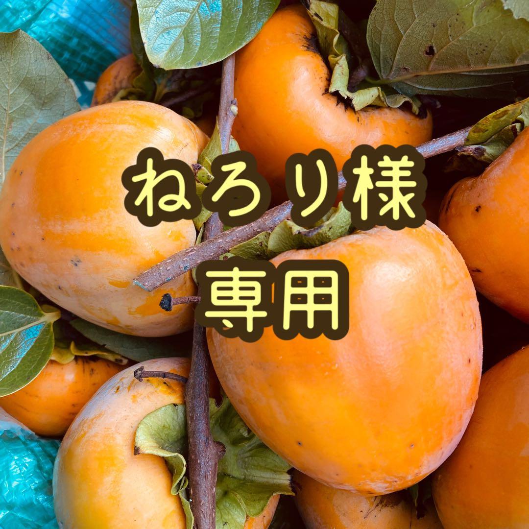 ①【ねろり】干し柿用渋柿 蜂屋柿 20kg