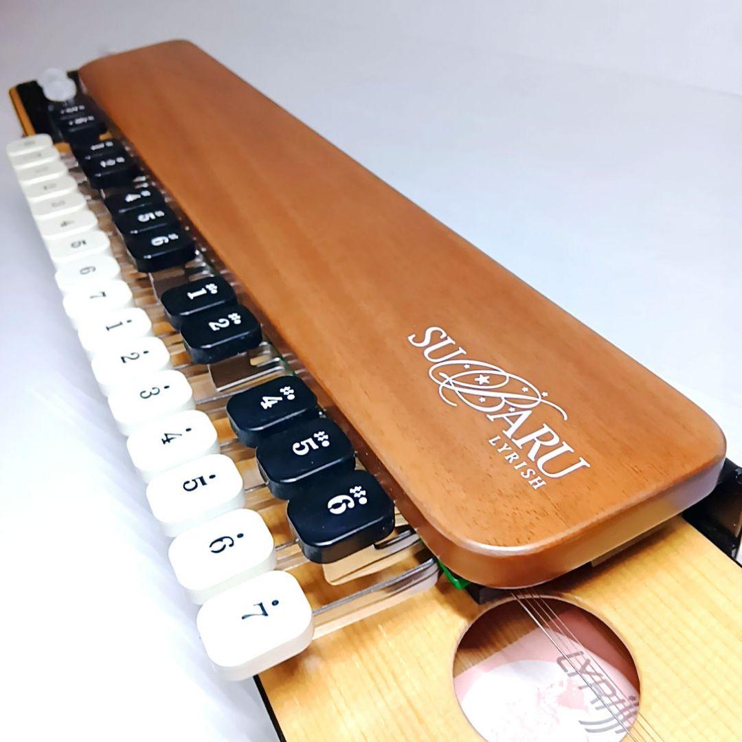 【極美品】大正琴 ライリッシュ Lyrissh ソフトケース スバル ソプラノ