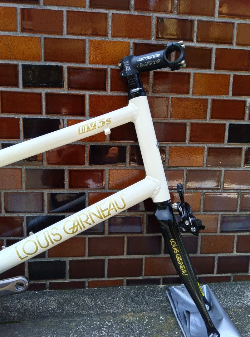 現車確認必須　ルイガノ　ミニベロMV3