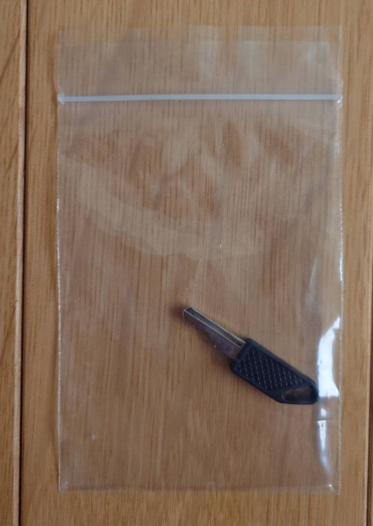 ISSEY MIYAKE AYA TAKANO イッセイミヤケ タカノ綾