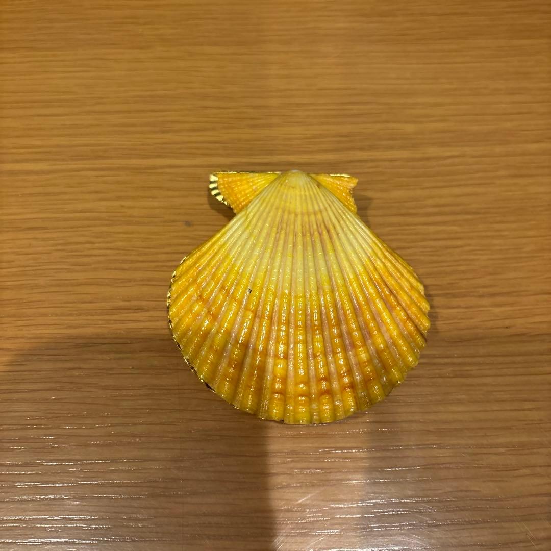 2点おまとめ　虎渓山水月窯　荒川豊蔵　紅白梅の茶碗　& 檜扇貝　香合