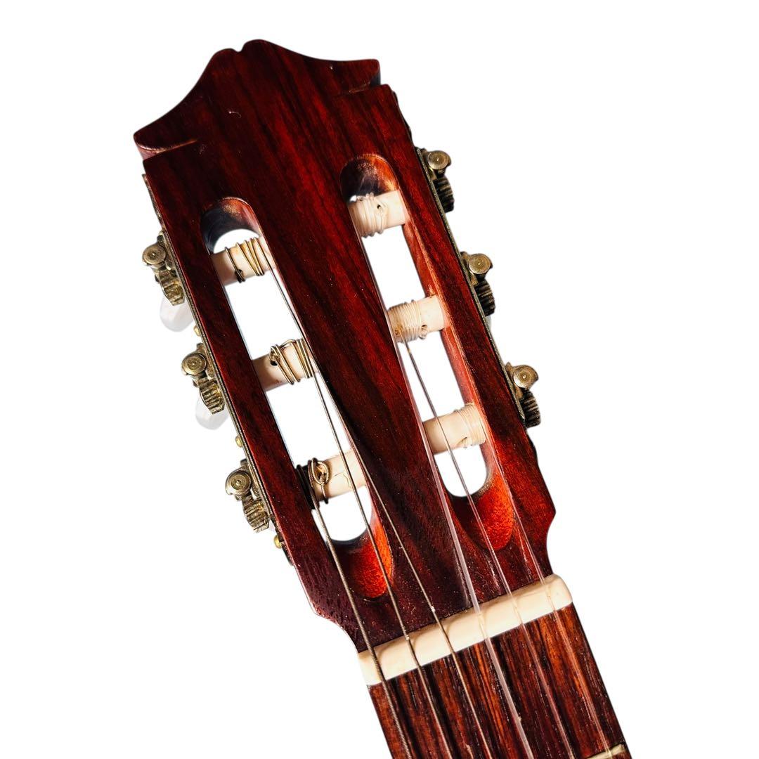 FERNANDES フェルナンデス　アコースティックギター　CC-15