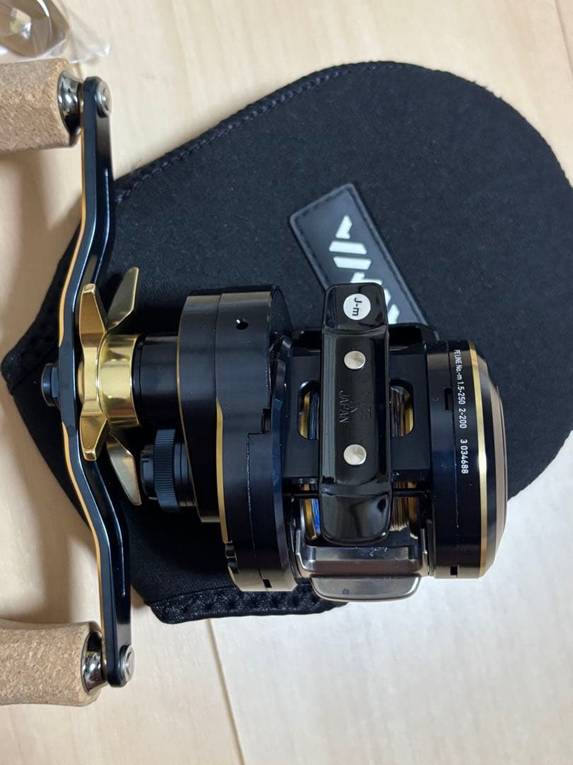 リール DAIWA SALTIGA IC 100