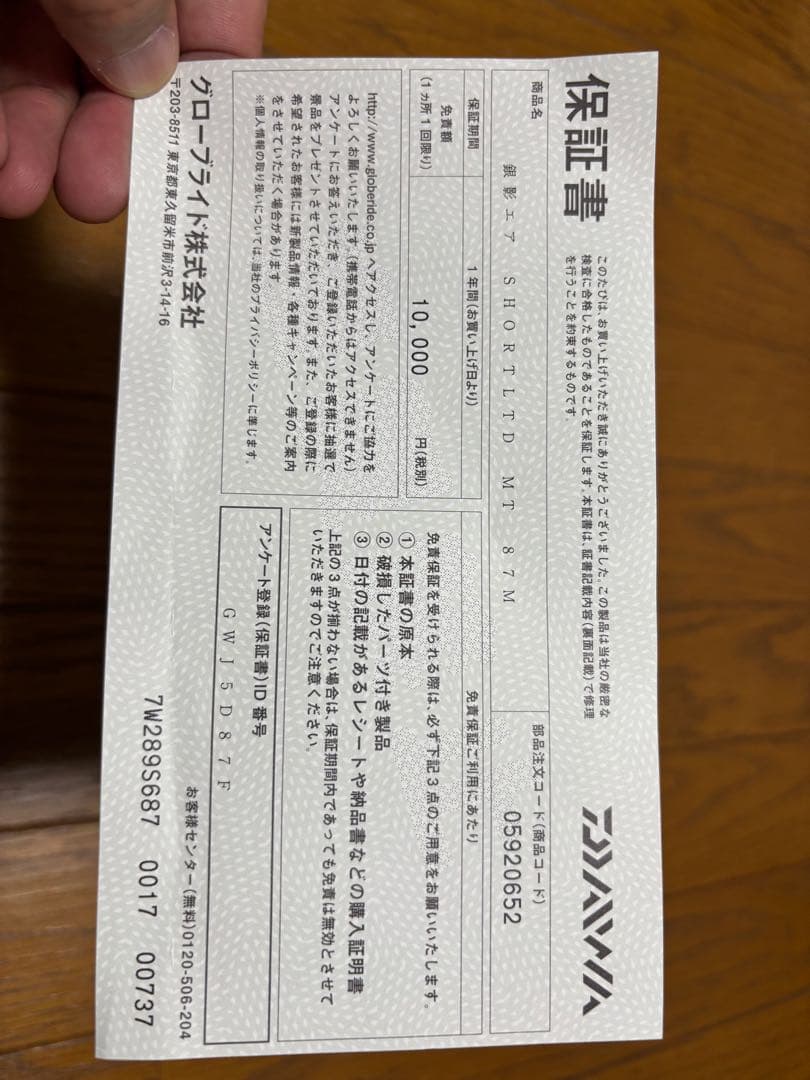 ダイワ銀影エアーショートリミテッドMT 87M 鮎竿