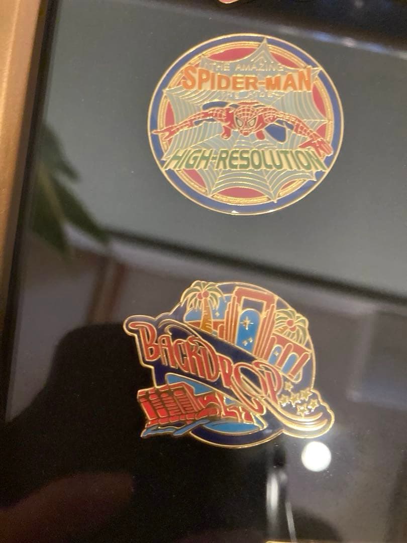 【希少・非売品】USJ 12周年ピンバッジ　盾&箱付き　バックドロップピンズ