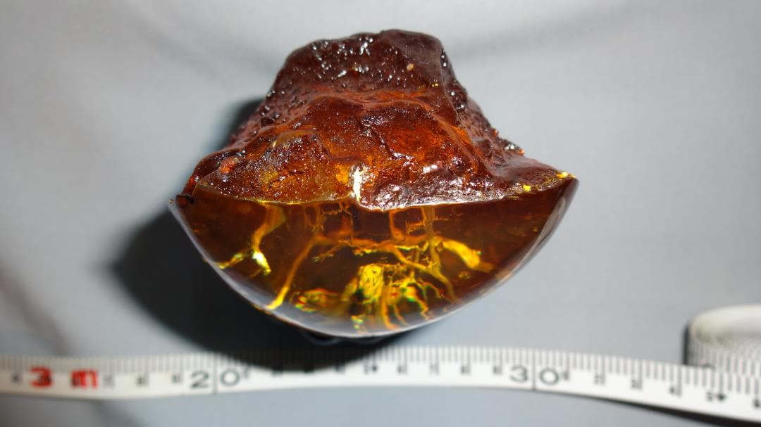 値下げ！！   虫(蜂)入り琥珀 （黒檀製台座付き）