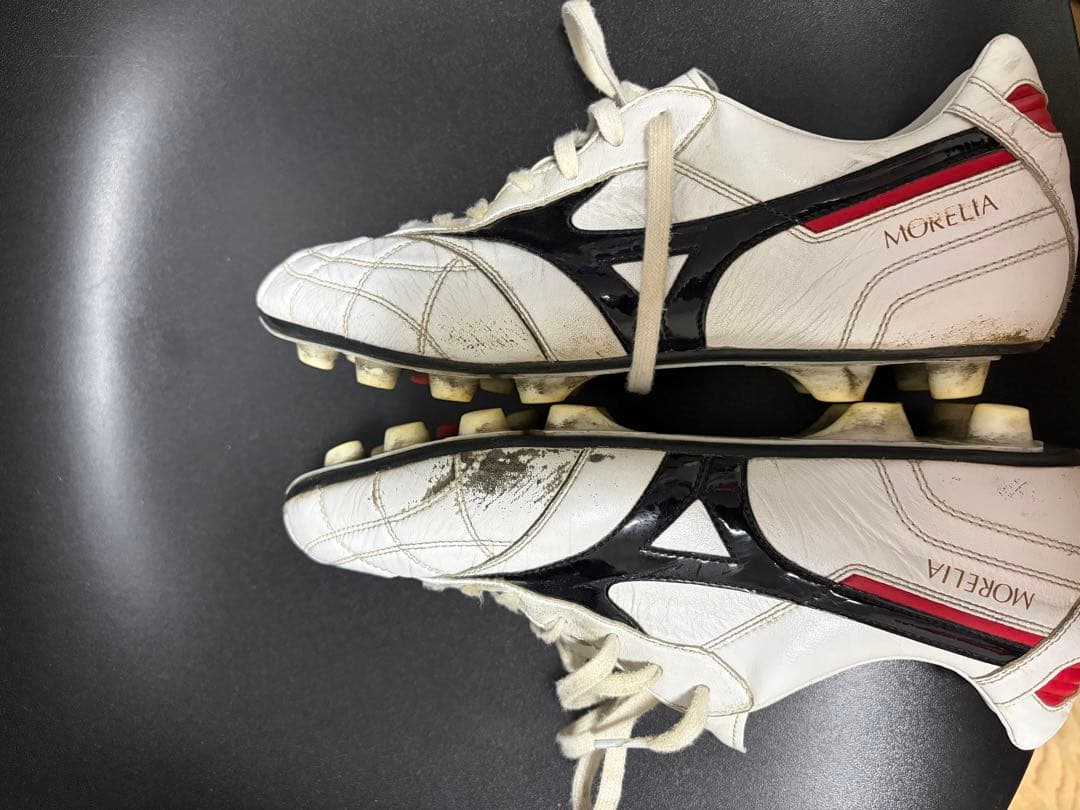 モレリア2 クロスステッチ サイズ27.0