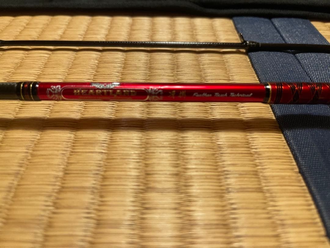 Daiwa ハートランド　冴掛　フェザータッチテクニカル　AGS24