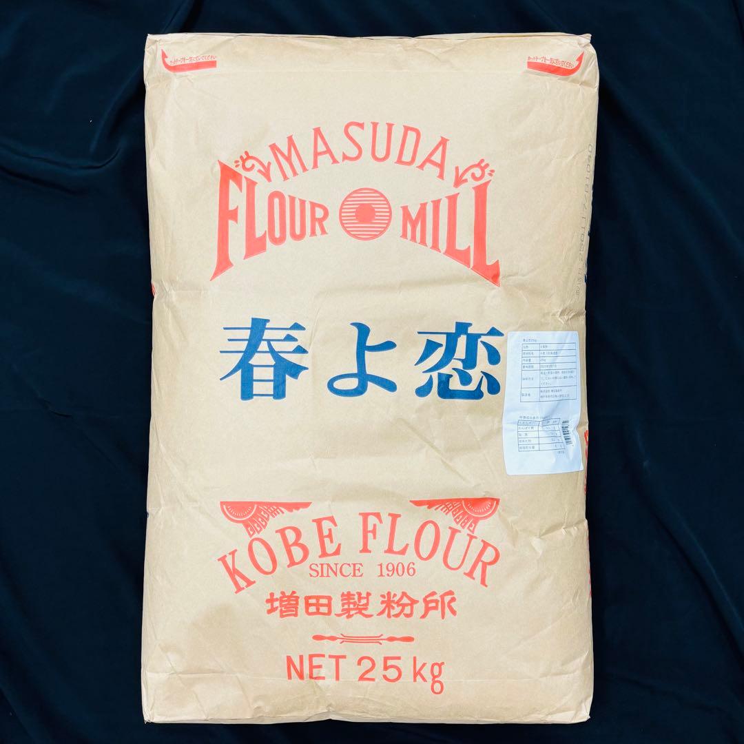 【2袋　賞味期限2025年7月17日】 春よ恋　増田製粉所　業務用小麦粉25kg