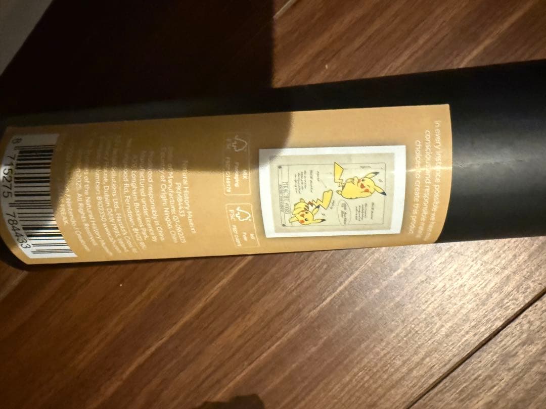 ポケモン ロンドン自然史博物館 ピカチュ　ポスター