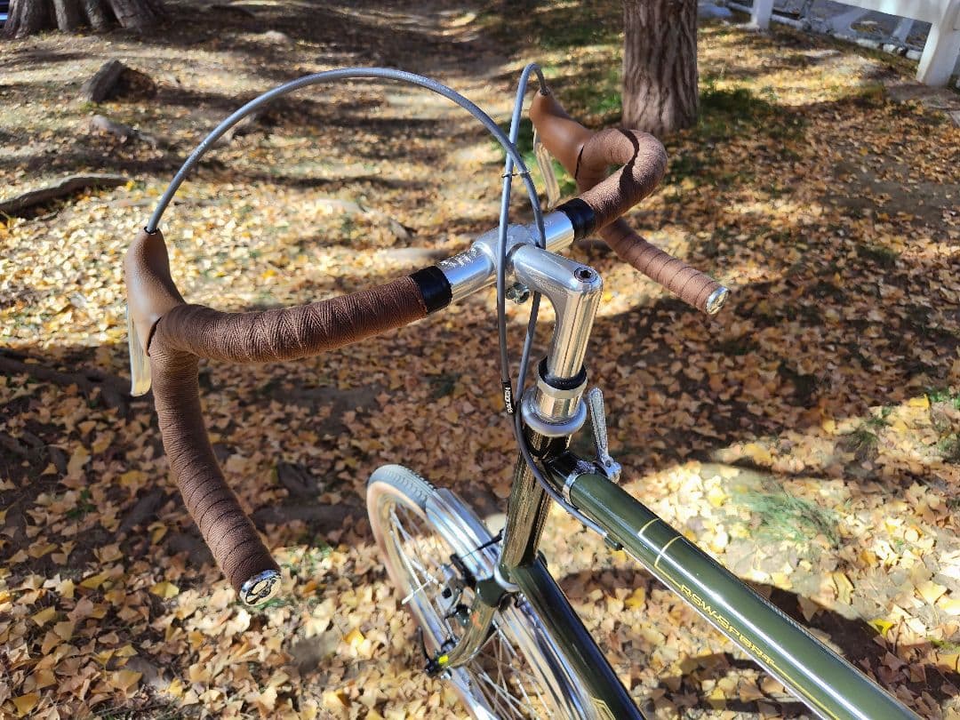 RALEIGH ラレー RSS RSW SPORT RSWカスタム