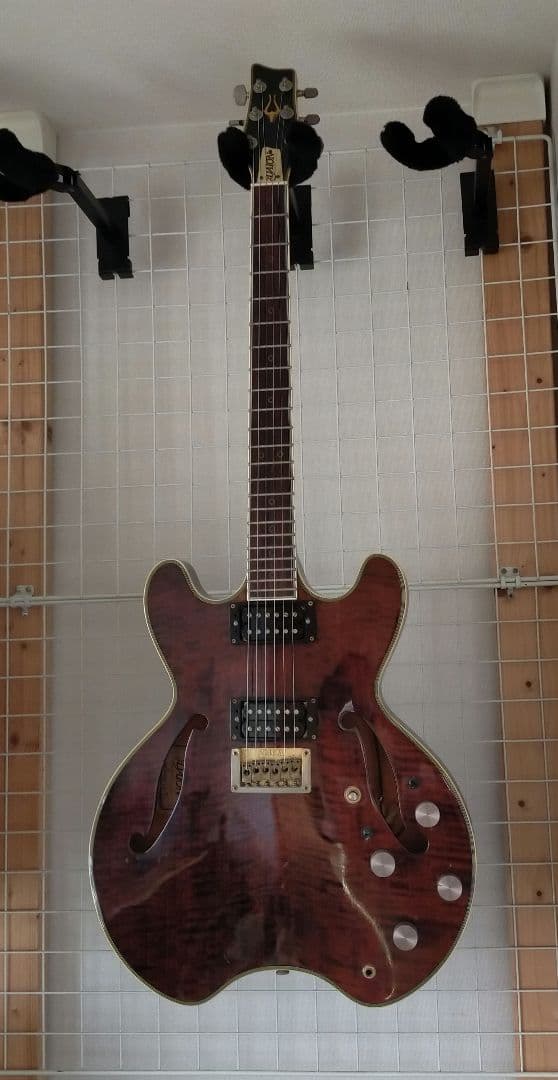 激レアDaion hh-555 Headhunter 555 ダイオン　セミアコ