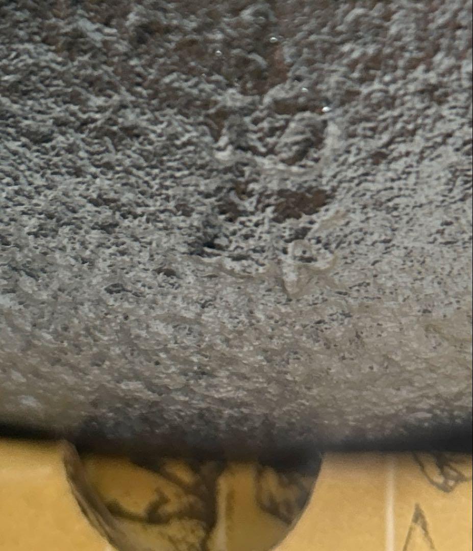 南部鉄瓶 鉄器 鉄瓶 算玉アラレ 急須 やかん 鉄分補給 「三傳藝統」 元箱