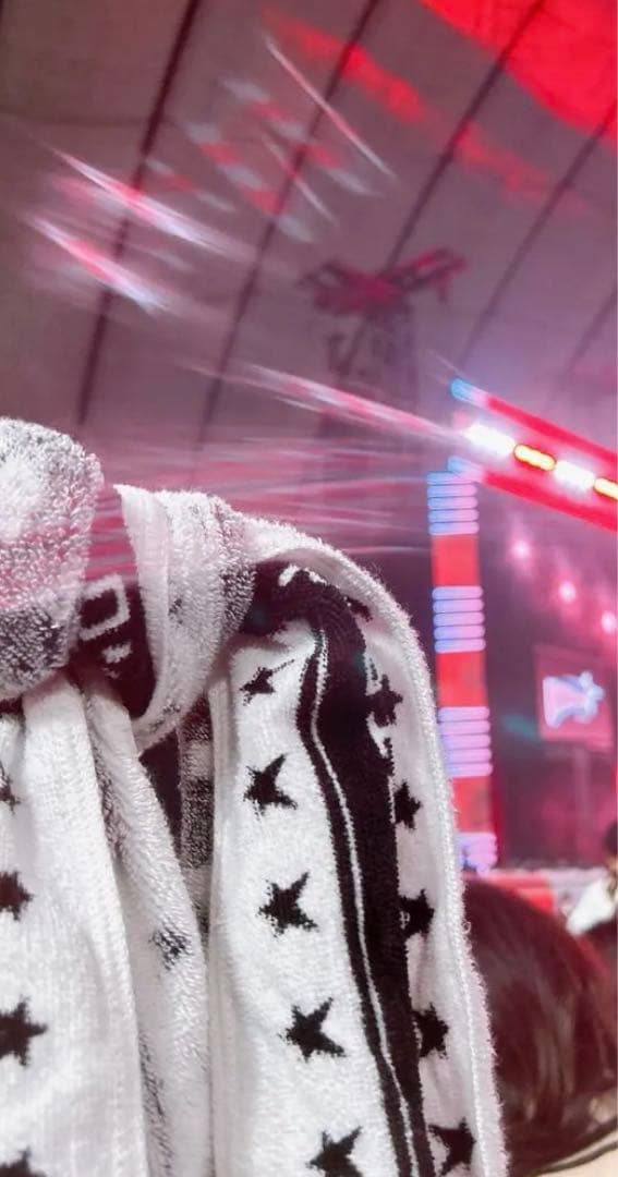 5-STAR DOME TOUR 2023 バンチャン チャニ タオル