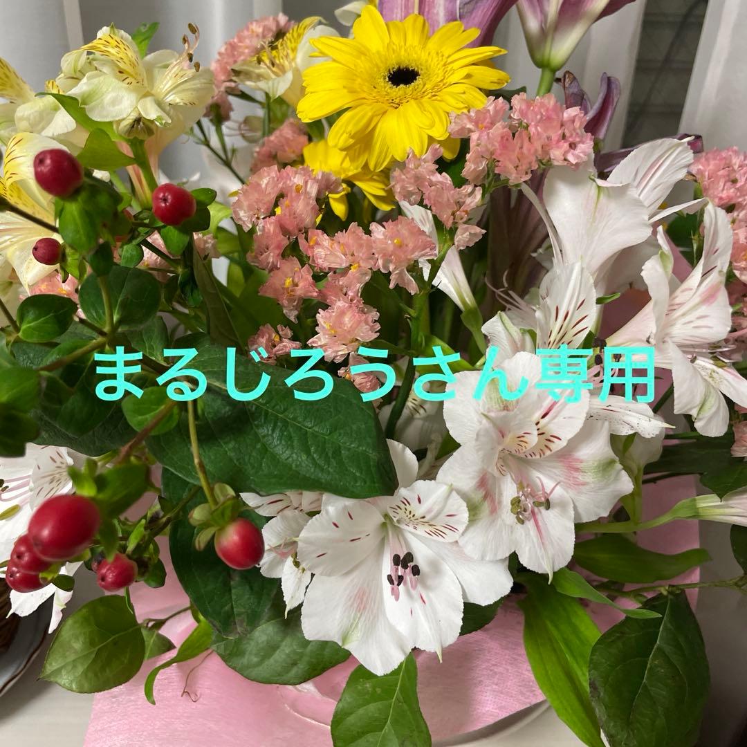  CANIN 腎臓　237ml×4本×4パックシリンジ10本✖️2セット