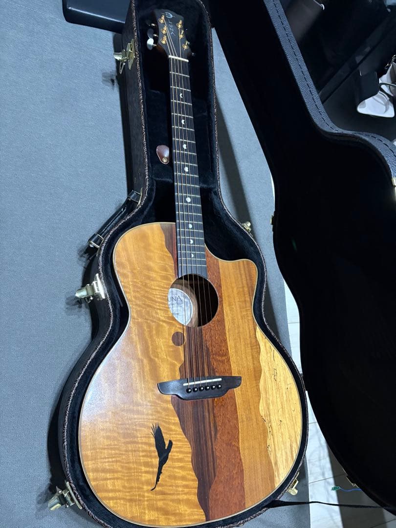 ルナ・ヴィスタ・イーグル　アコースティック・エレクトリックギター値下げ受け付け中