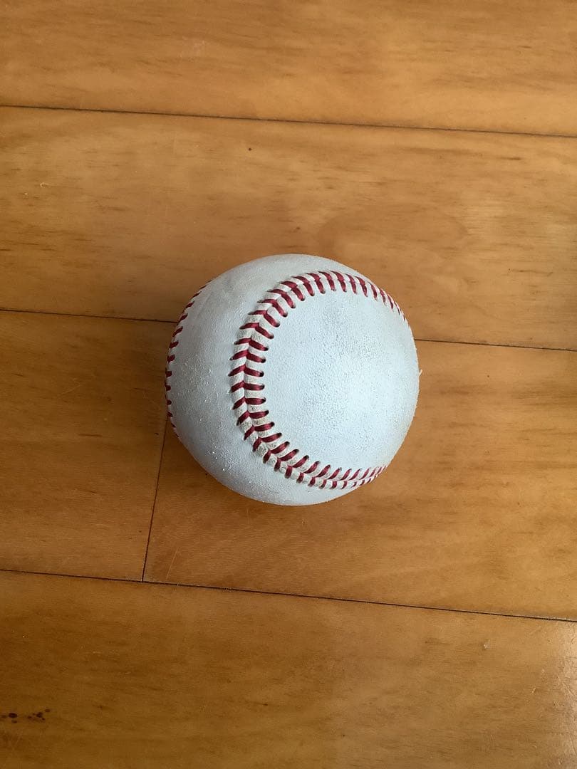 SSK テクニカルピッチ TECHNICAL PITCH 練習用ボール