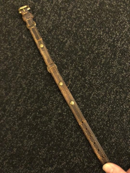 Louis Vuitton 小型犬　首輪とリードのセット