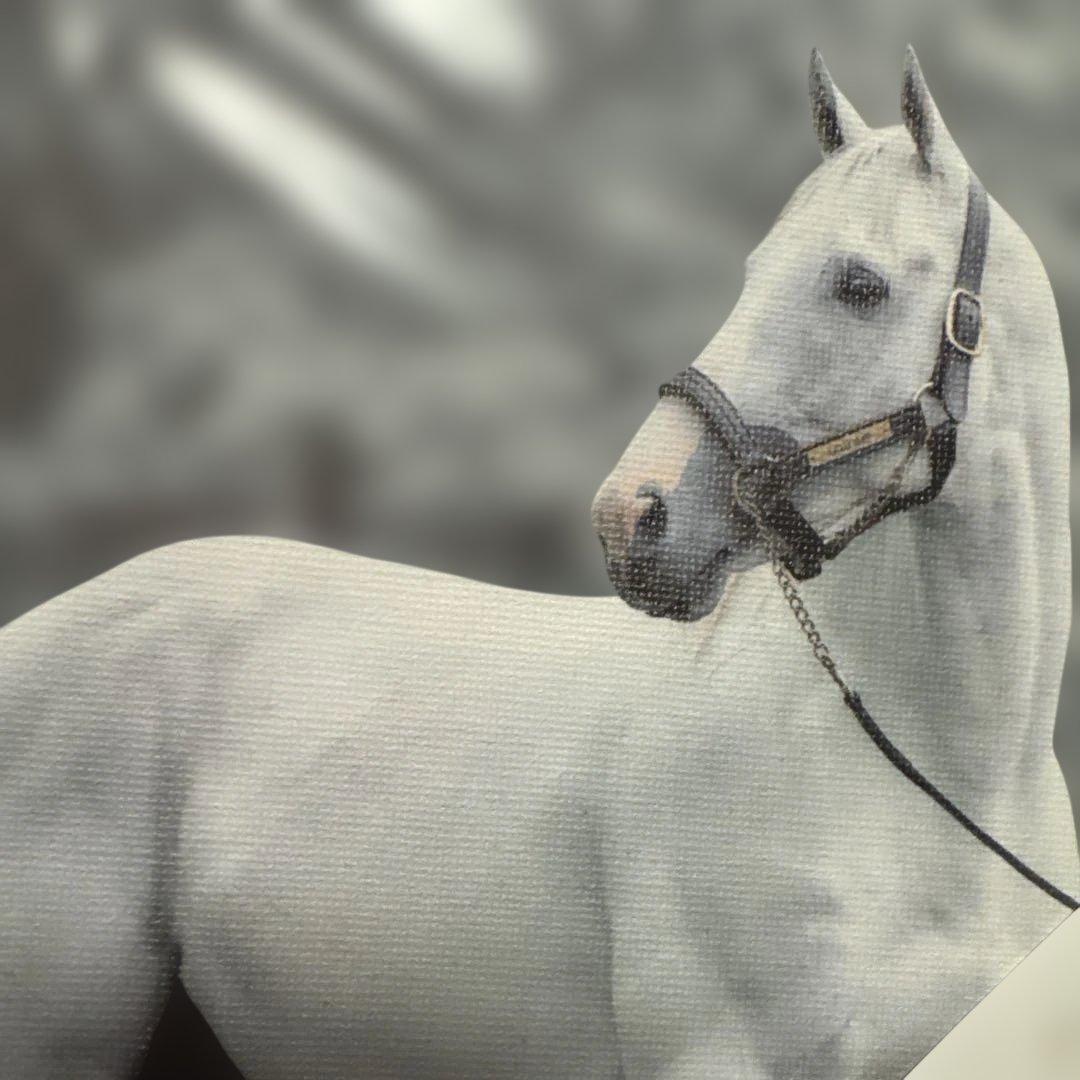 希少♡ゴールドシップ　キャンバスボード　競馬/午年