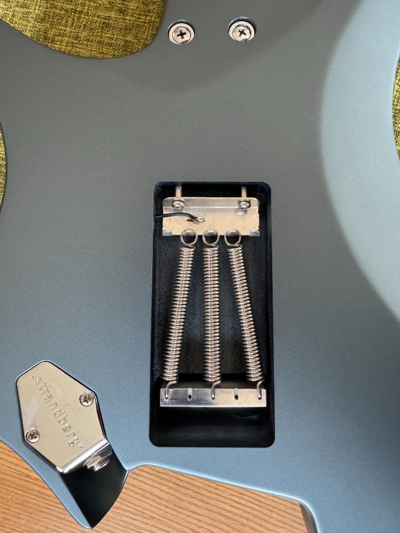 ギター Strandberg Classic 6 Trem