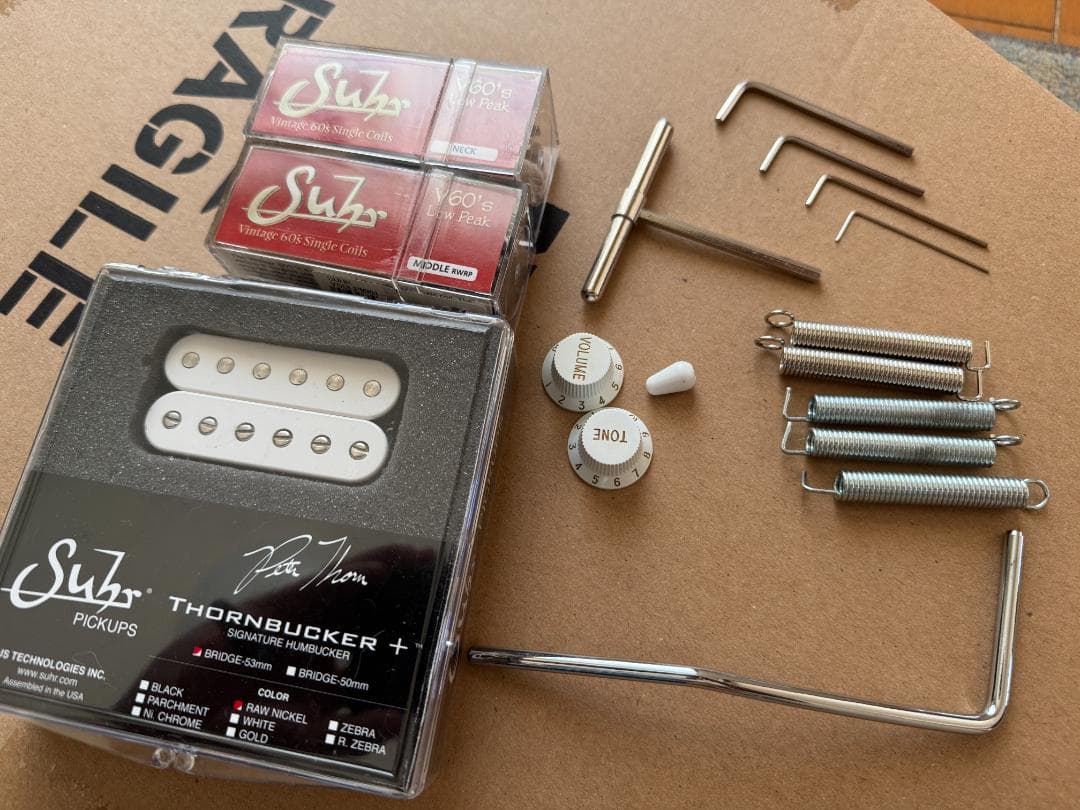 ギター Strandberg Classic 6 Trem