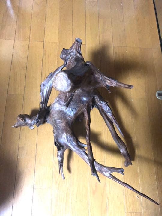 【No11】　置き物　小鳥用品　とまり木　バードアスレチック　オブジェ