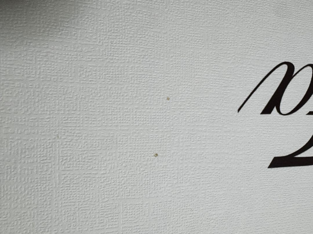 「マッキー」 ReFa : リファファインバブルU