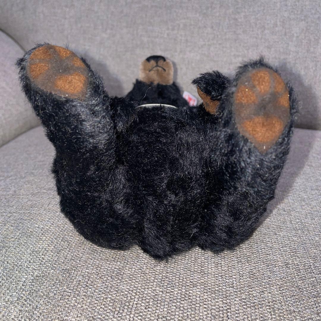 2012世界限定　くまのウィニペグ　プーさんの原型