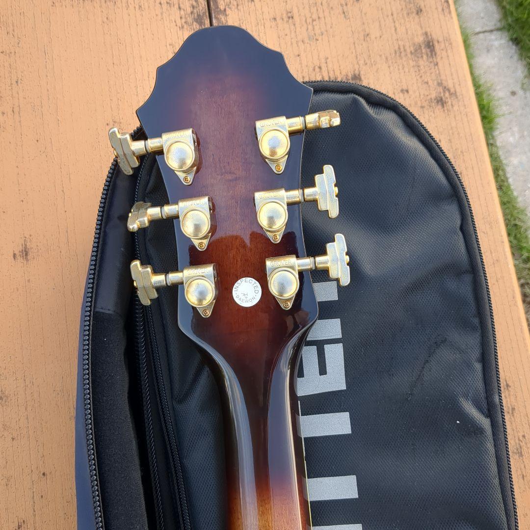Michael Kelly セミアコギター スペシャル ギグバッグ ストラップ付