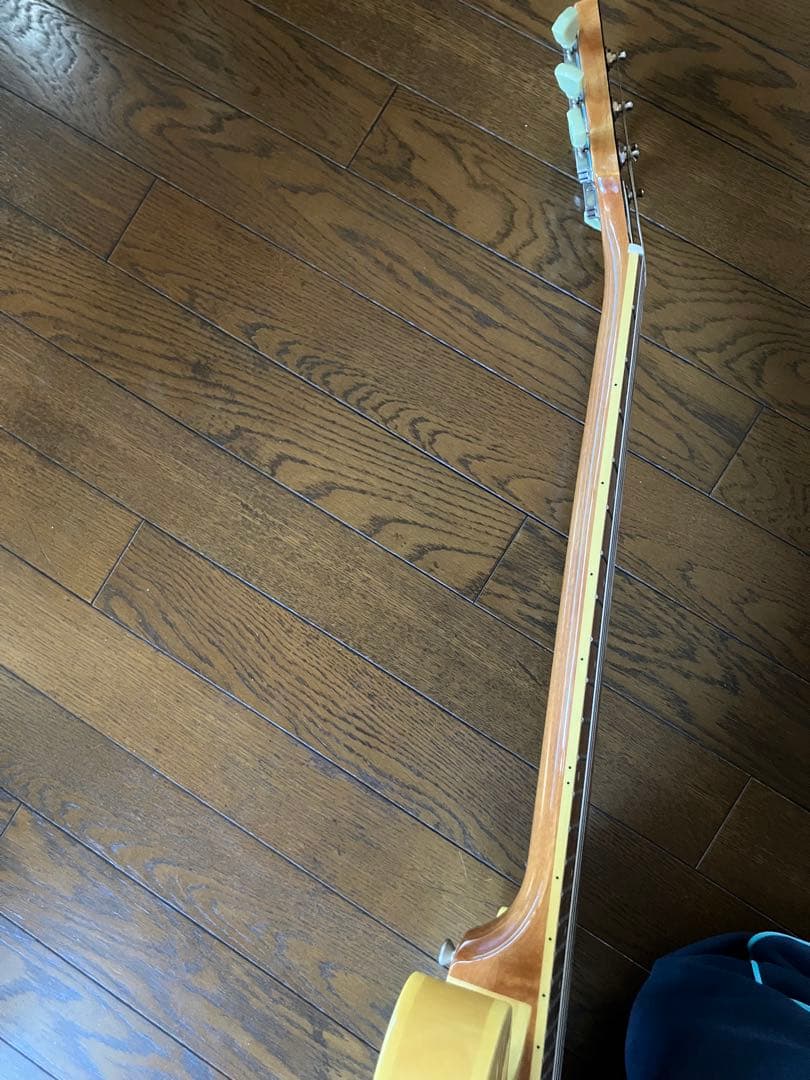 Epiphone ES-339 Pro セミアコ ナチュラルおまけ付き