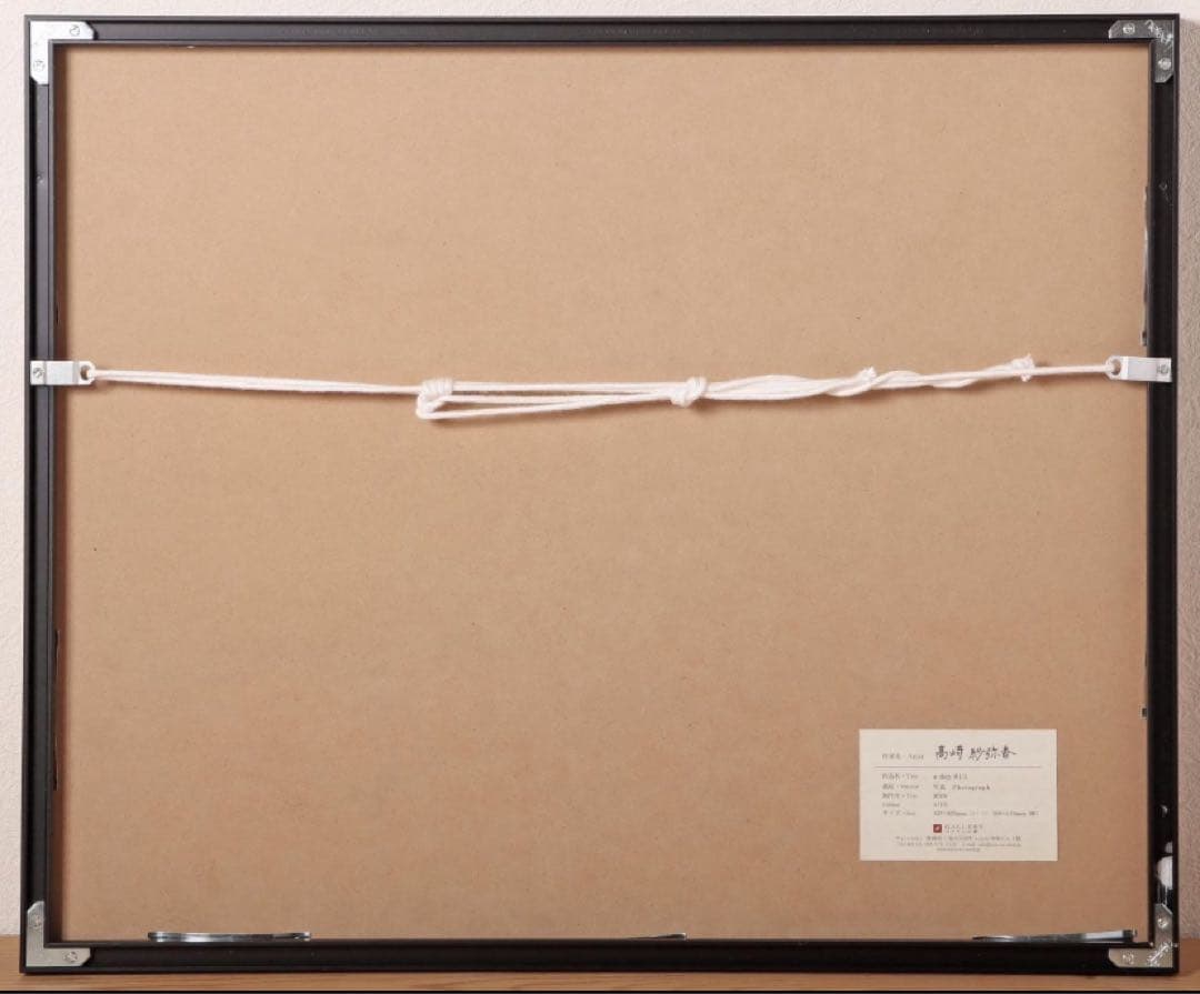 2019年制作 高崎紗弥香 a day #13 フォトグラフ 草間彌生 奈良美智