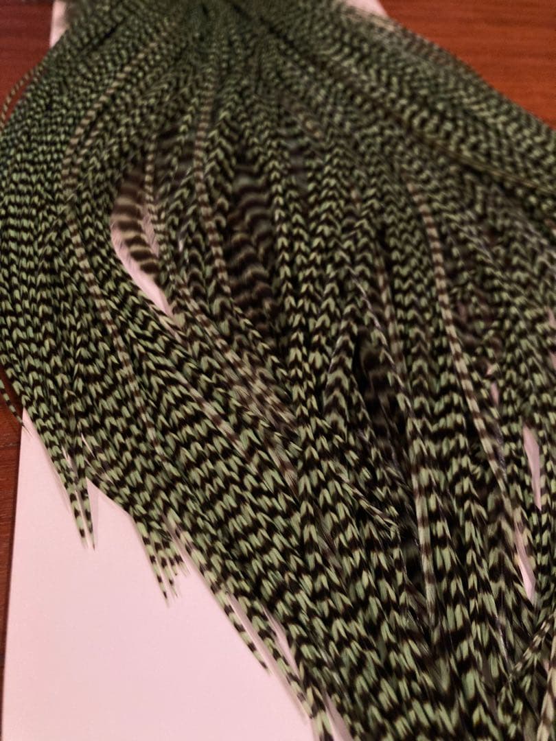 希少カラー　ホワイティングファーム　WHITING ハックル　サドル