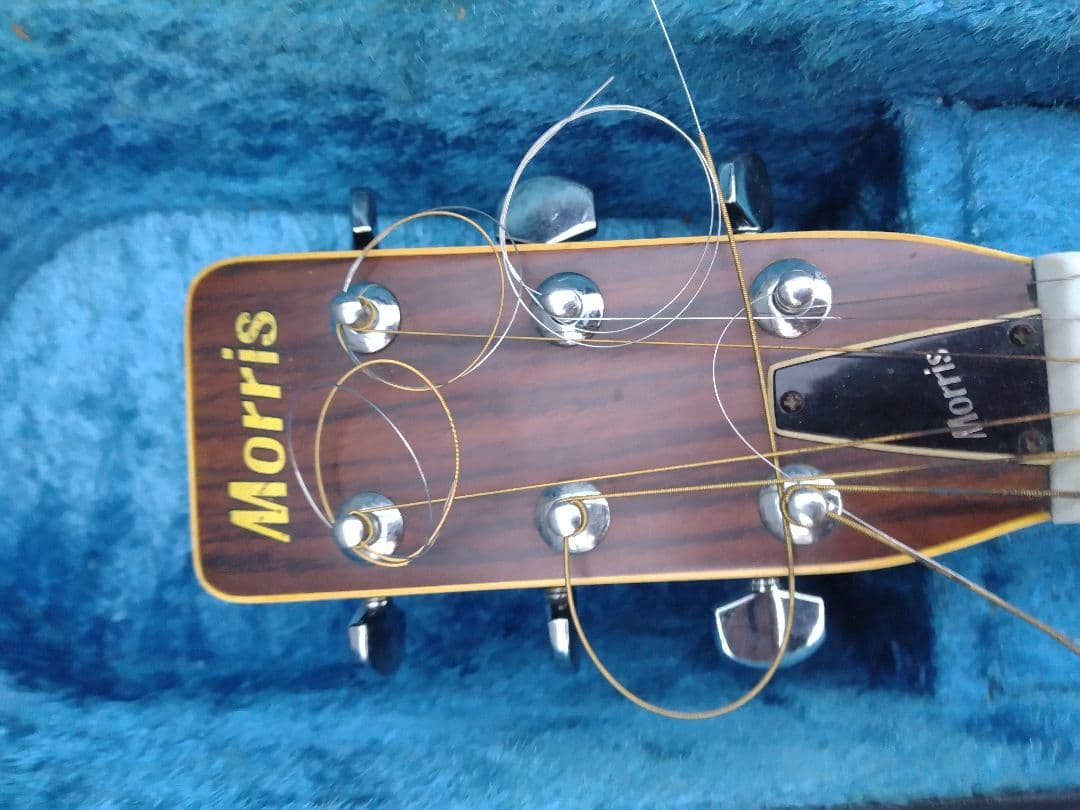 め*う様 Morris F20 弦楽器 楽器 モーリス アコースティックギター