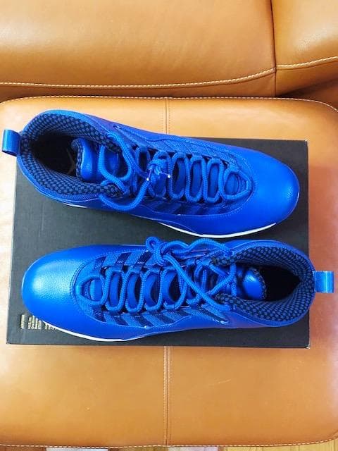 新品USA限定★ジョーダン10稀少カラー☆Nike☆野球用MCS☆29.5cm☆