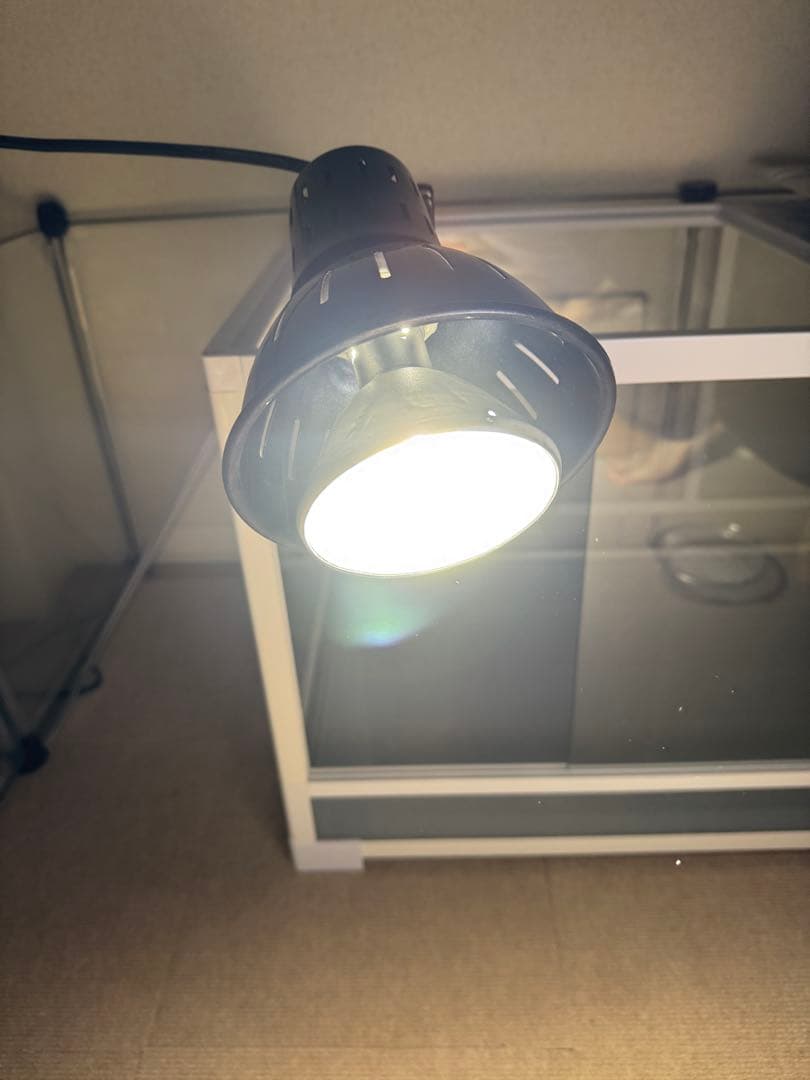 【グリムロ】ゼンスイ ソーラーラプター HIDランプ 50W