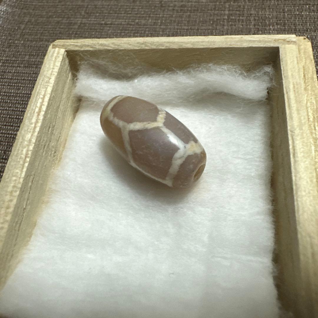 紅朱砂　亀甲EC