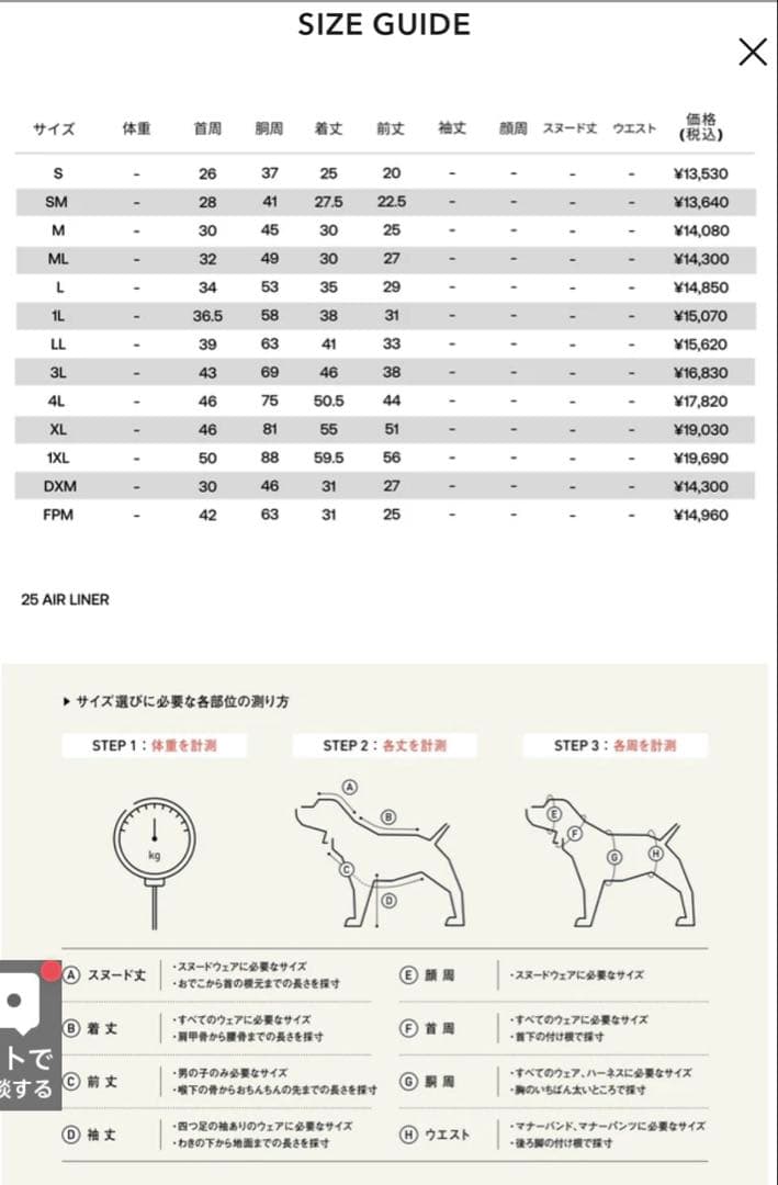 ALPHAICON AIR LINER エアライナー RETRO SKI SM