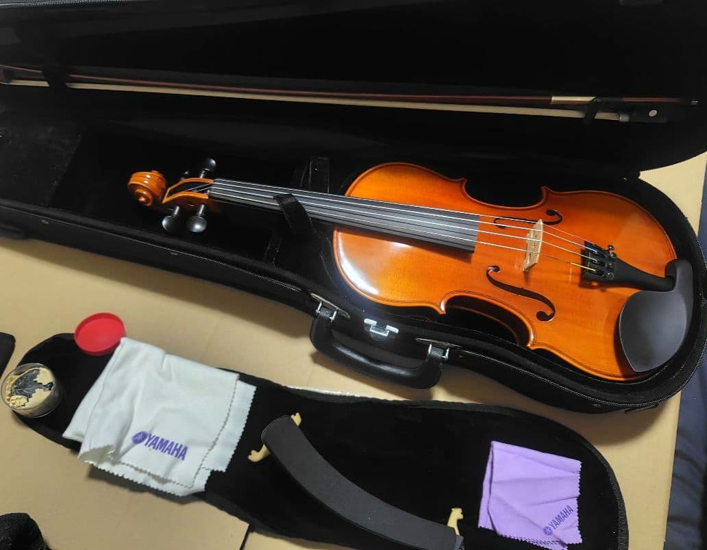 イーストマン　4/4 バイオリン本体　ケース付き 付属品あり
