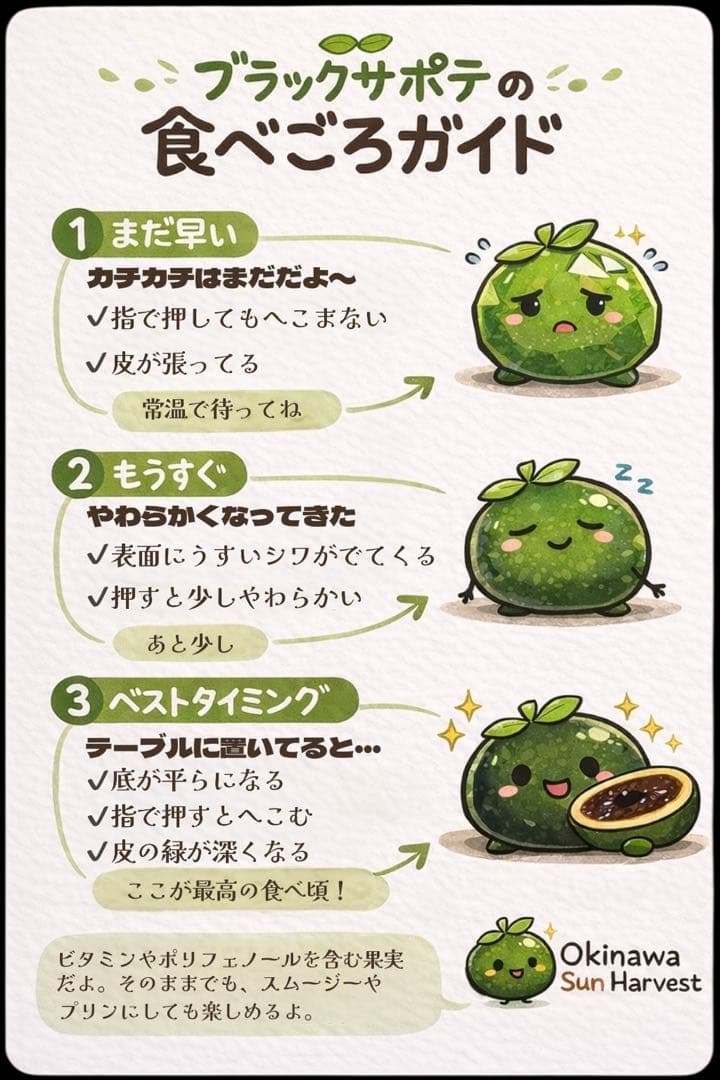 ブラックサポテ 9個