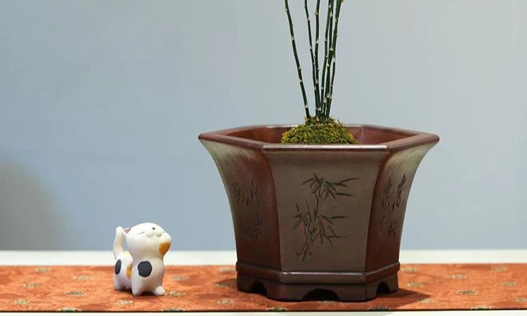 中国宜興 紫砂鉢 盆栽鉢 植木鉢 小品盆栽鉢 大品盆栽鉢