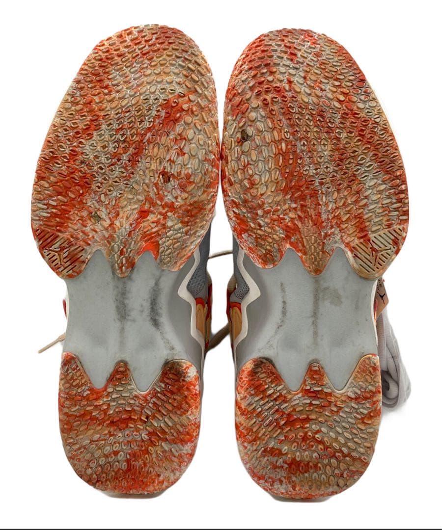 Jordan WHY NOT .5 PF 28.5 スニーカー　マルチカラー