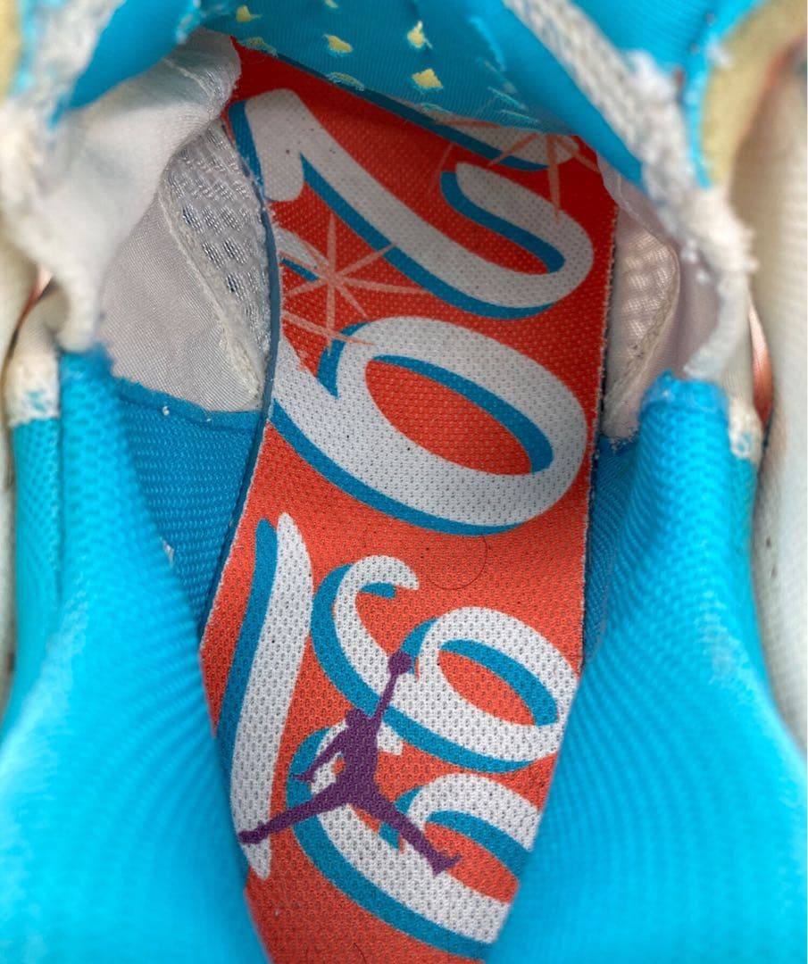 Jordan WHY NOT .5 PF 28.5 スニーカー　マルチカラー