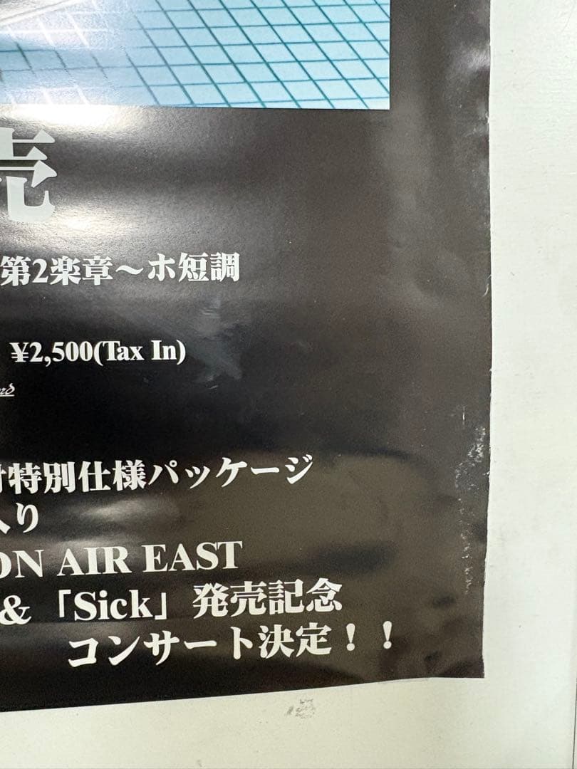 激レア‼︎Raphael Sick XXX患者のカルテ B2告知ポスター