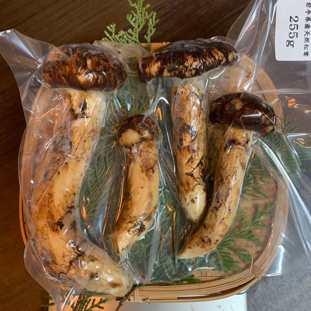 ⑥【岩手県産天然松茸】冷凍松茸　国産本場　つぼみ開き　255g