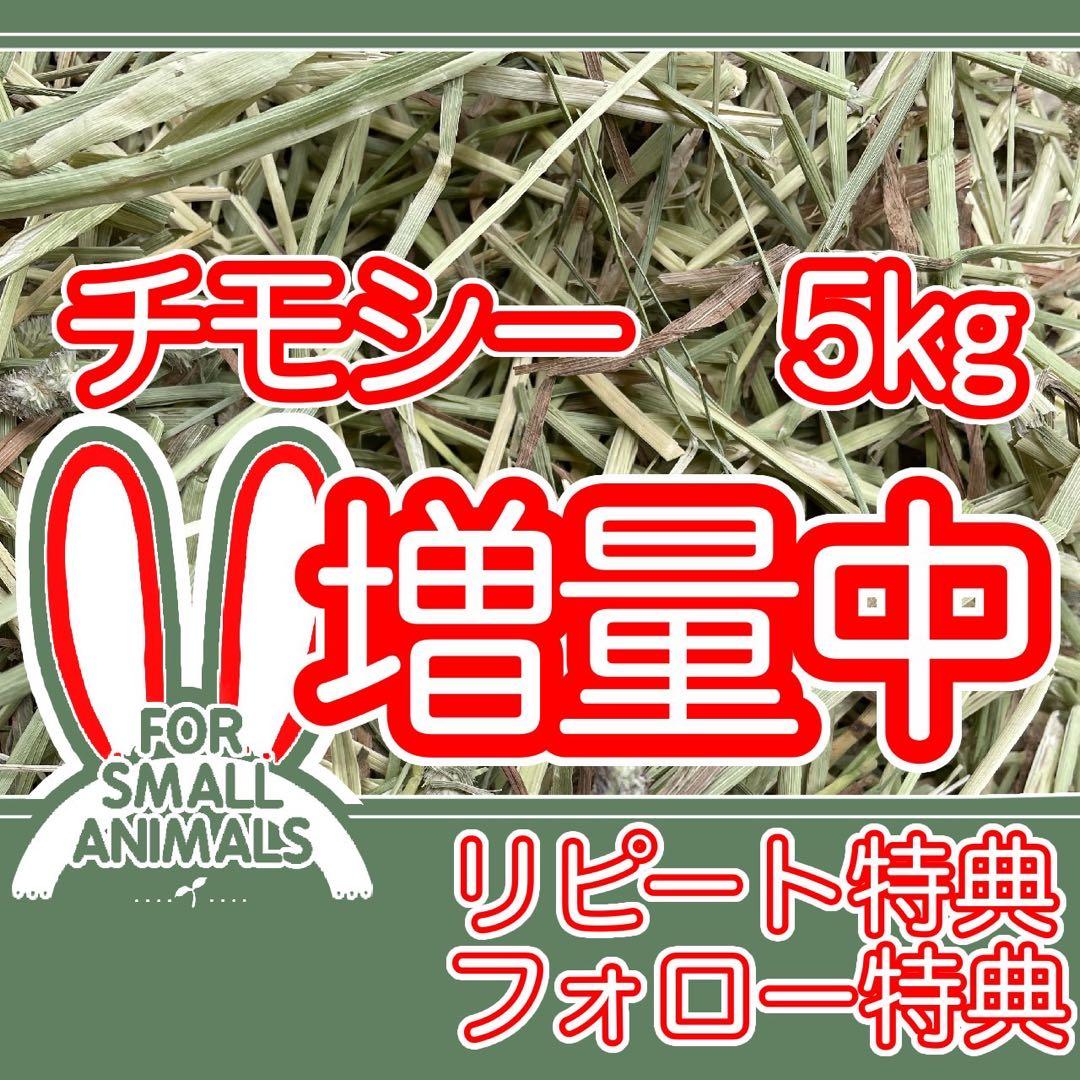 カナダ産　チモシー　お試し品