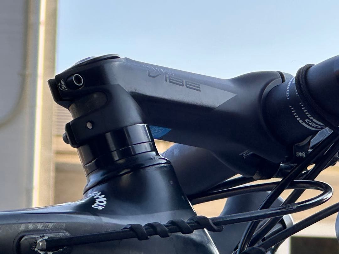 シマノプロ　VIBE 110mm17°