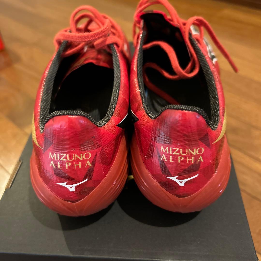 シューズ Mizuno Alpha2japan 25cm