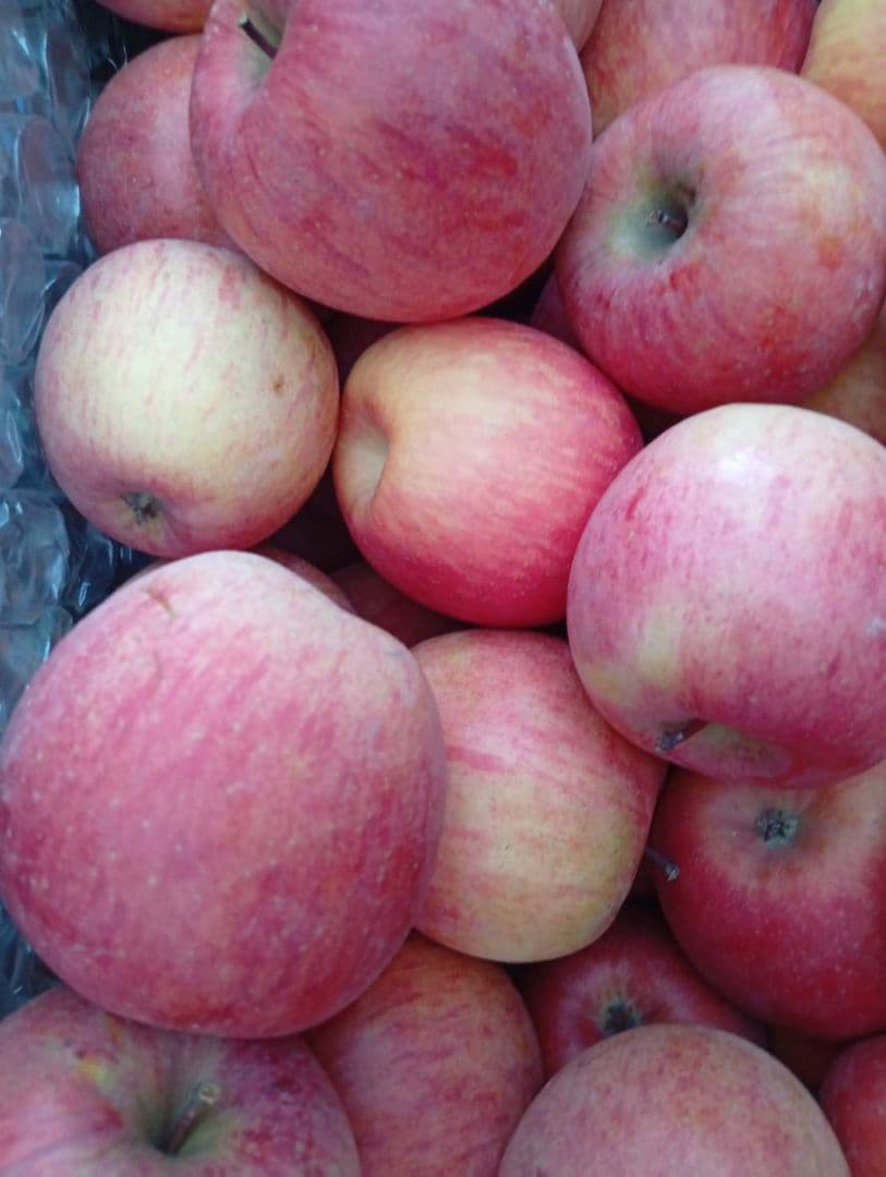 【糖度20度超】信州高山村の小玉フジ12キロシャキシャキ、ジューシーなりんご