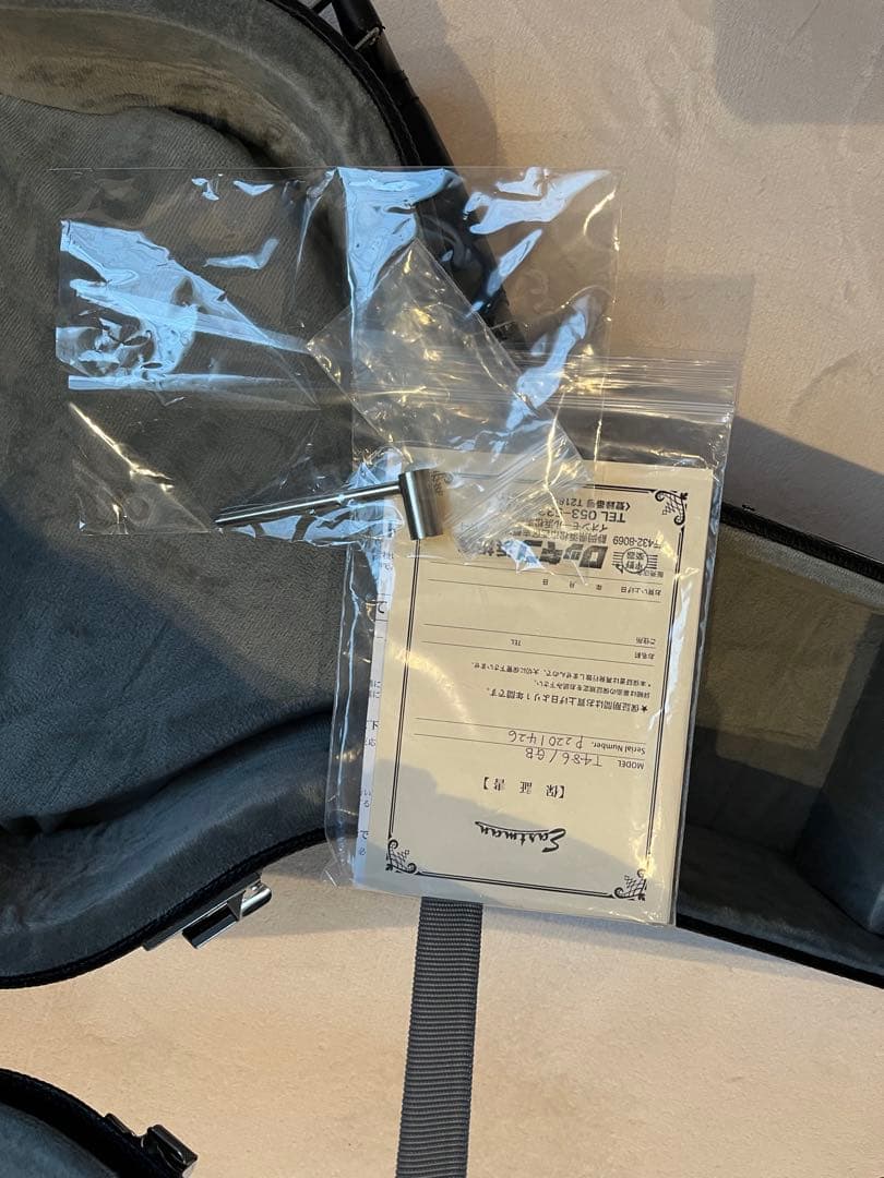 Eastman T486 Gold Burst セミアコ イーストマン